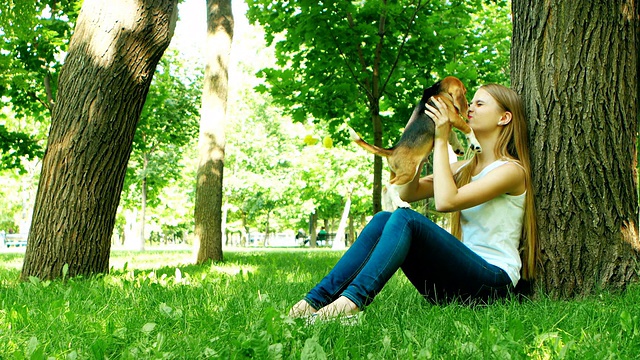 夏天的公园里，女孩和她的小猎犬玩耍视频素材