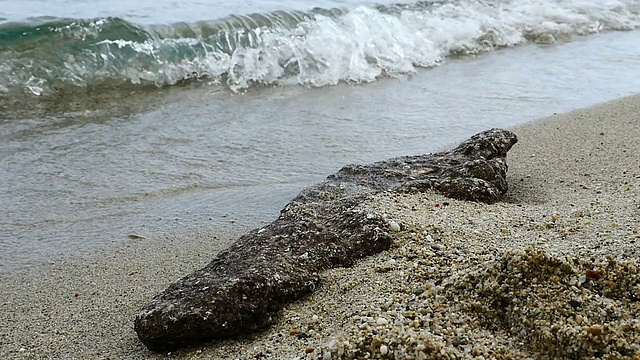 海滩上美丽的波浪视频素材