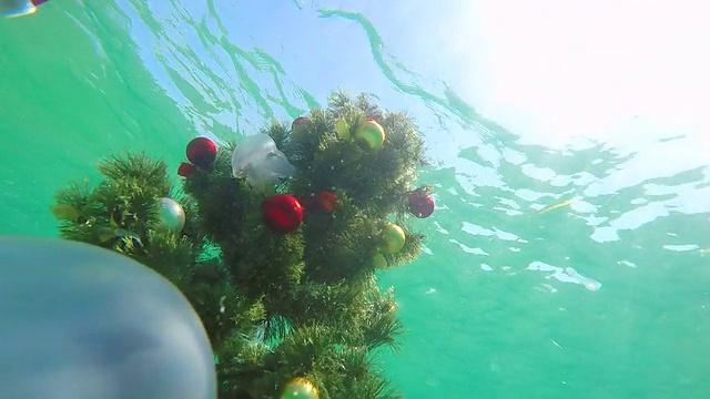 水下海床上安装了一棵节日圣诞树视频素材