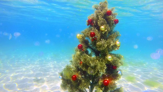 在水下沙海床上安装节日圣诞树视频素材