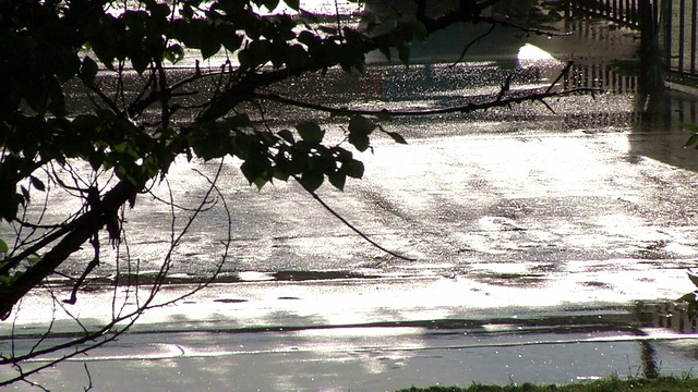 雨和树叶与瞥见的太阳在道路和汽车上视频素材