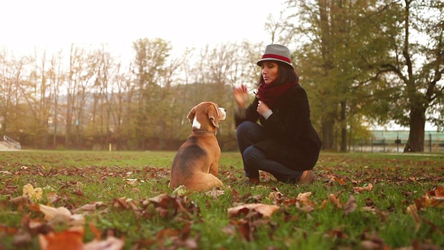 酷时尚的女士戏弄她的小猎犬与款待，直到最后放弃视频素材