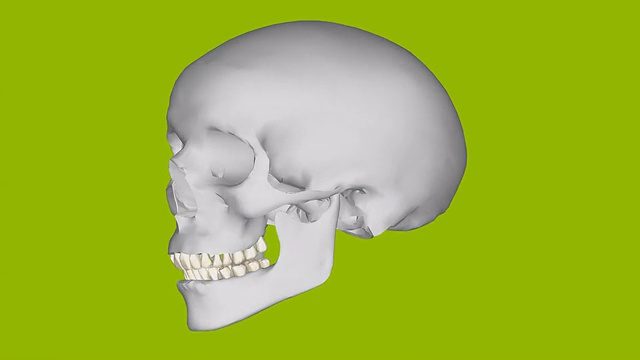 骨的头旋转视频素材