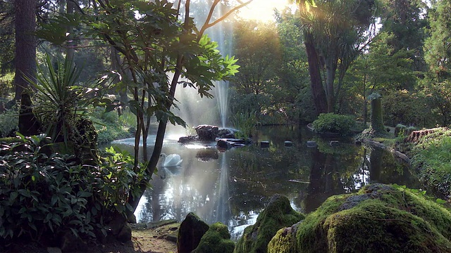 天鹅湖视频素材