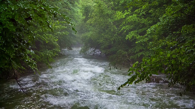 湍急的山河在绿树丛中向下流动视频素材