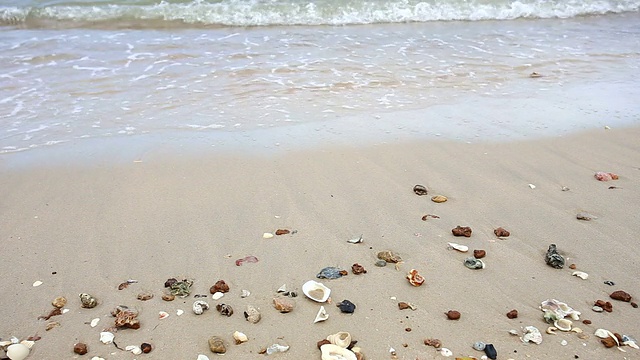 海浪和海滩上的贝壳视频素材