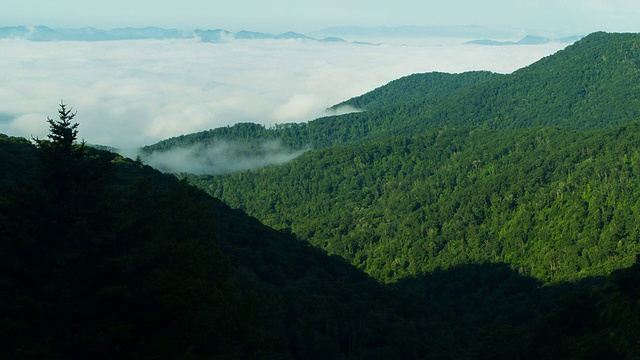 蓝岭山晨雾时间流逝紧视频素材