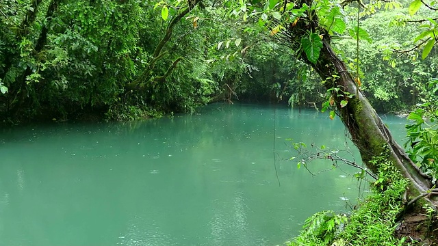 蓝色河流，河流，泻湖，雨林，丛林国家公园，哥斯达黎加视频素材