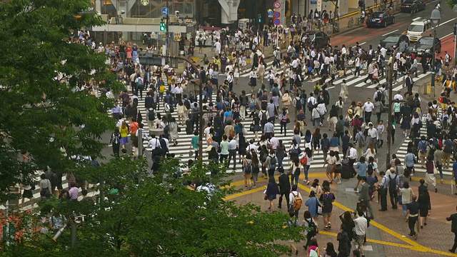 日本东京著名的涉谷十字路口视频素材