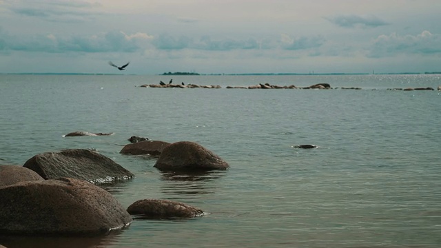 海岸上的岩石视频素材