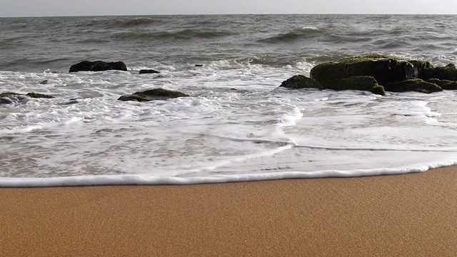 海滩软潮波视频下载