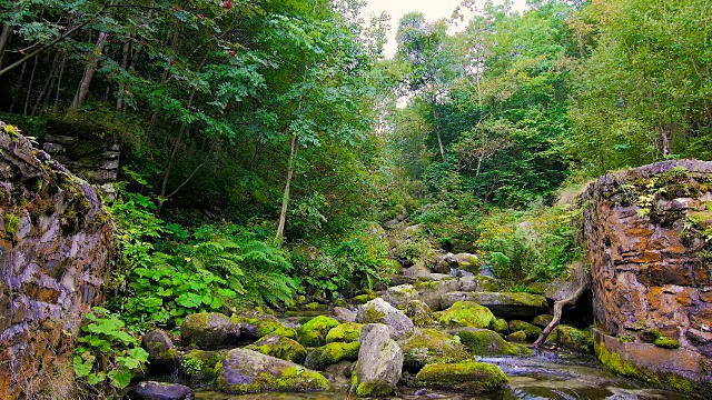 高山流水视频素材