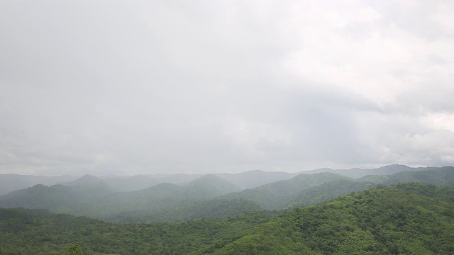 晨雾密布的热带雨林，云雾缭绕的山林雨景视频素材