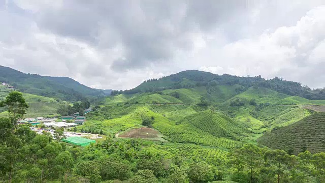 延时高清镜头在卡梅隆高地，马来西亚视频素材