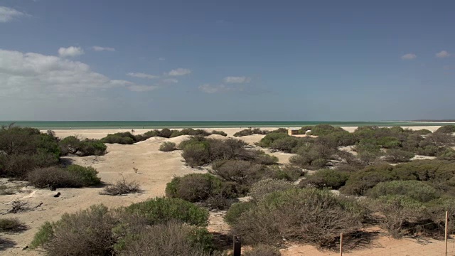 潘景观贝壳海滩在鲨鱼湾国家公园，澳大利亚西部视频素材