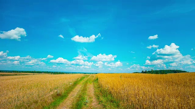 夏天的风景,延时视频素材