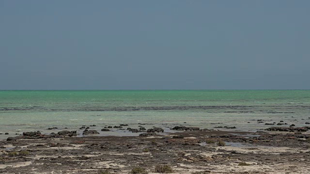 鲨鱼湾国家公园的现代叠层石景观和海洋视频下载