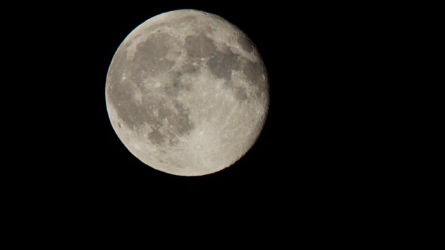 一轮满月在树上的夜空中移动视频素材