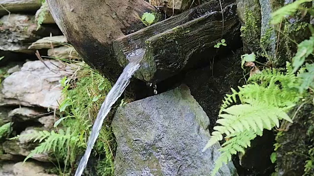 在倒水的时候举起手视频素材