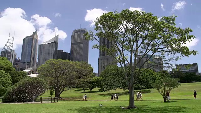 人们在悉尼的植物园里散步视频素材