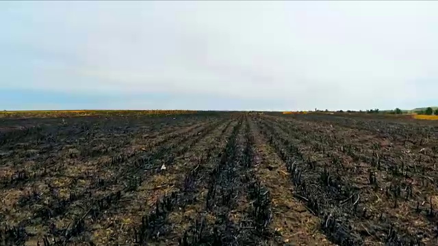 飞过俄罗斯烧焦的留茬地视频素材