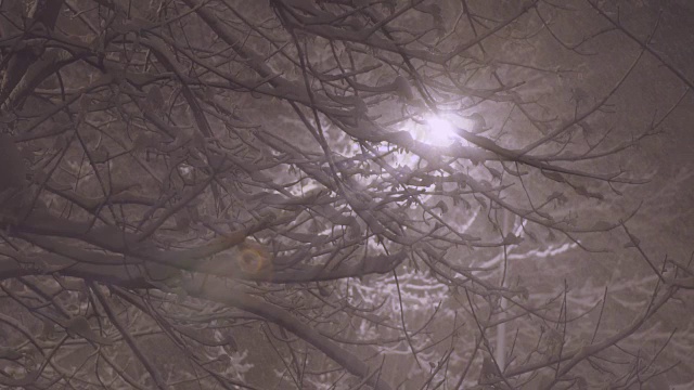 夜幕降临在城市里视频素材