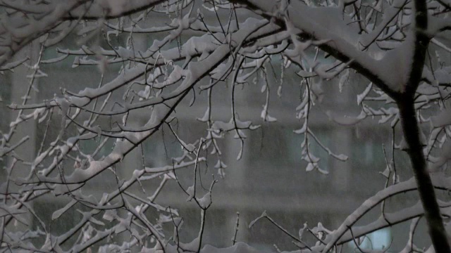 夜幕降临在城市里视频素材