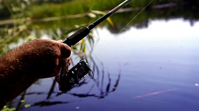 渔夫的手旋转钓竿上的线圈(勺饵)的镜头，捕捉到猎物视频素材