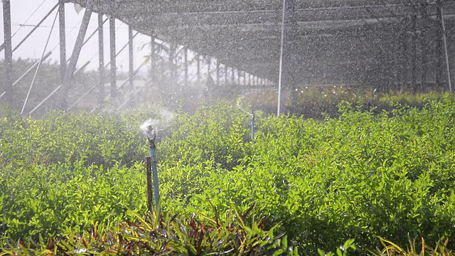 洒水花园种植园视频素材