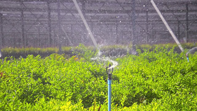 洒水花园种植园视频素材