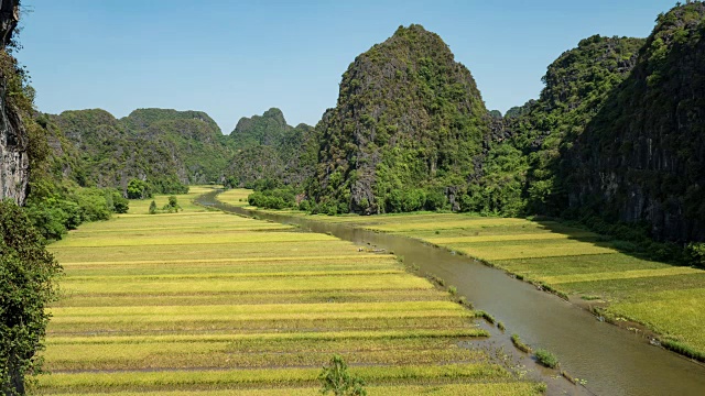 农业田顶天景观视频素材