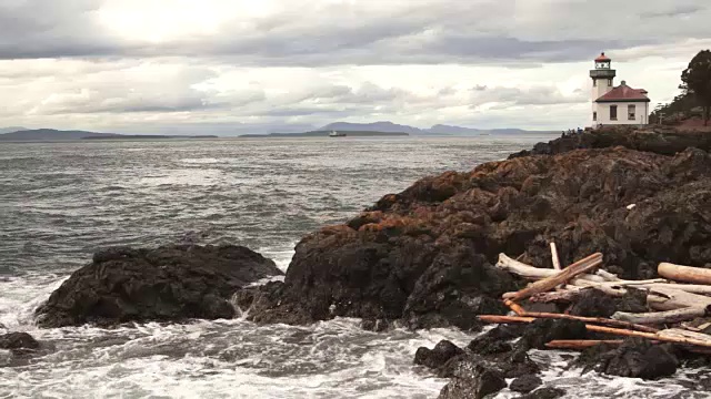 产卵鱼野生鲑鱼游泳小溪河流交配游泳视频素材