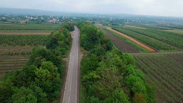 空中:飞过田野之间的道路视频素材