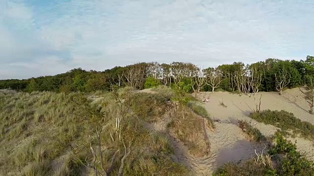 夏天的海滩沙丘视频素材