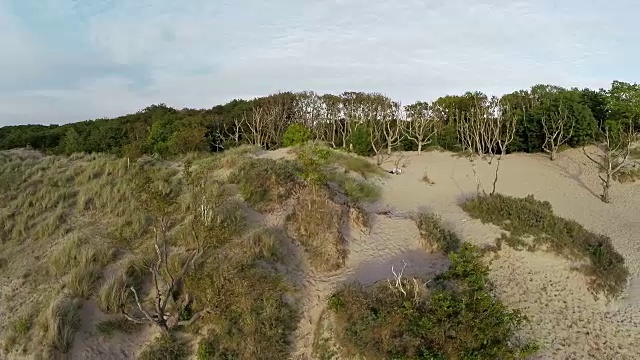 夏天的海滩沙丘视频下载