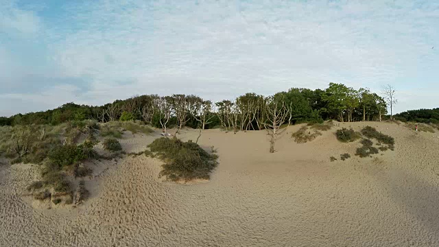 夏天的海滩沙丘视频素材