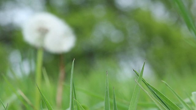 有机领域视频素材