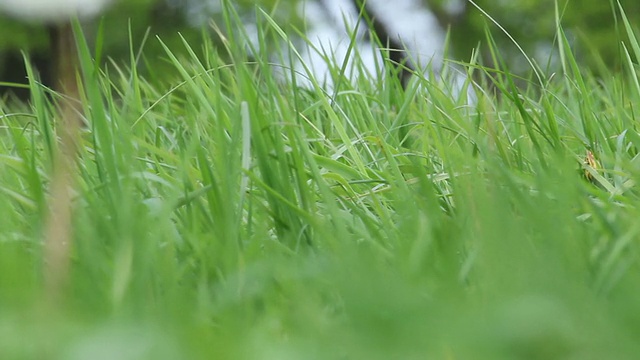 有机领域视频素材