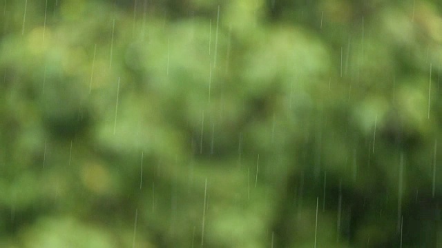 雨从空中落下视频素材