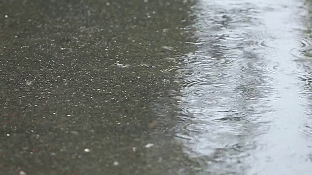 雨落在路上视频素材