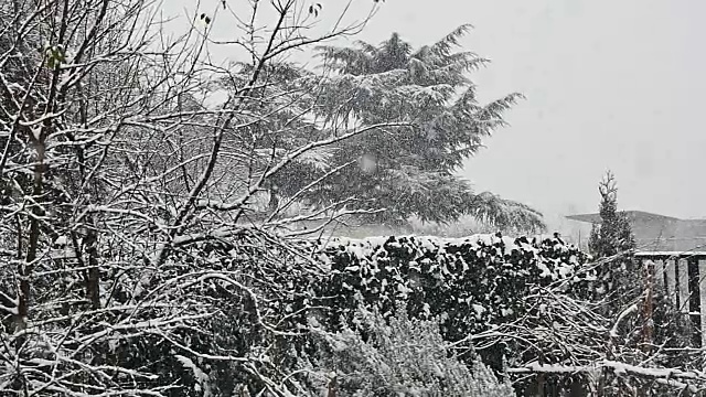 雪花飘落的慢动作视频素材