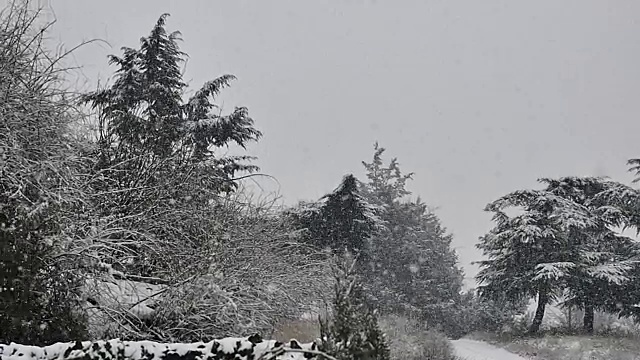 雪花飘落的慢动作视频素材