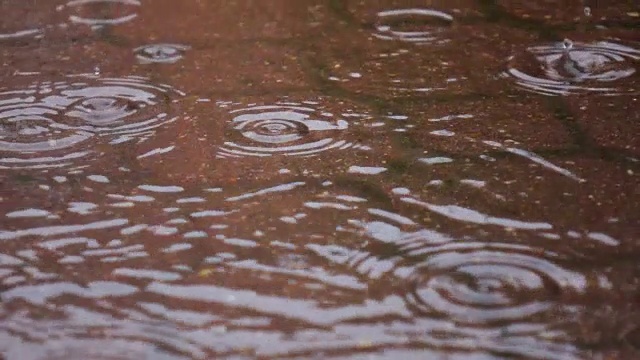 雨天的城市街道，水滴，水坑，超慢的动作，选择性聚焦。视频素材