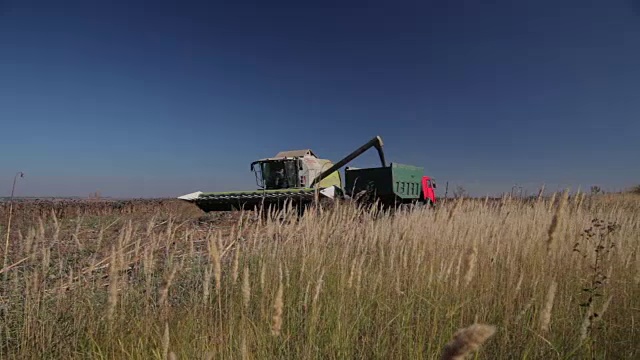 收割机卸载粮食视频素材