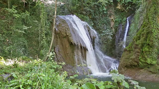 谢谢视频素材