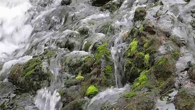 喷气森林溪流，石头和苔藓。视频素材