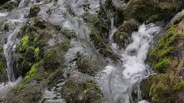 喷气森林溪流，石头和苔藓。视频素材