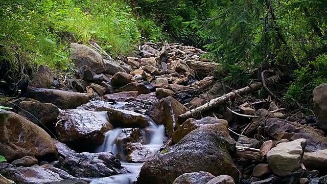 溪水与岩石视频素材