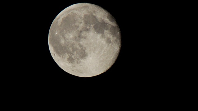 一轮满月在树上的夜空中移动视频素材