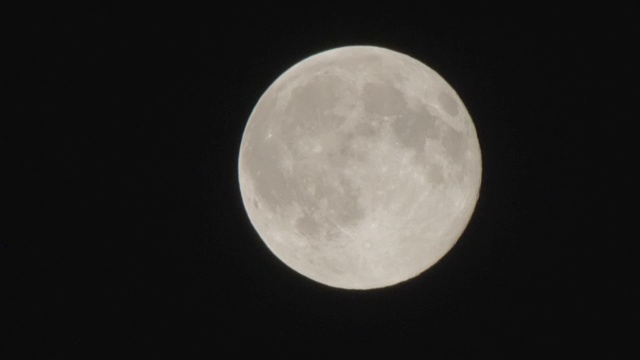 在树和云上面的夜空中满月视频素材